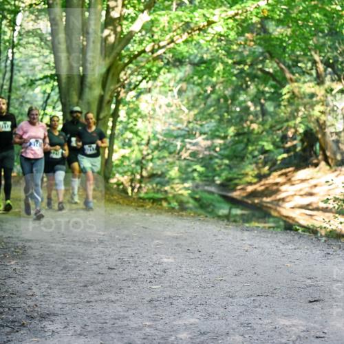 28.09.2025 - 33. Volkslauf durch das schöne Alstertal Dr. Thomas Lammeyer http://msf.ph/oto/8958328 28.09.2025 10:51:19 Laufen  meine-sportfotos.de