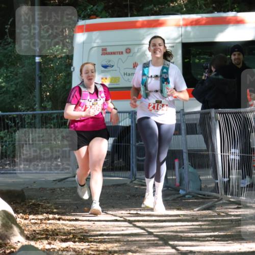 28.09.2025 - 33. Volkslauf durch das schöne Alstertal Strokosch-Dieckow http://msf.ph/oto/8958329 28.09.2025 13:17:20 Ziel 2164, 2409 meine-sportfotos.de