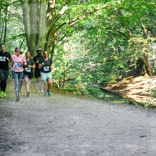 28.09.2025 - 33. Volkslauf durch das schöne Alstertal Dr. Thomas Lammeyer http://msf.ph/oto/8958331 28.09.2025 10:51:20 Laufen 3112, 3218, 3217 meine-sportfotos.de