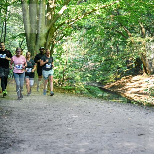 28.09.2025 - 33. Volkslauf durch das schöne Alstertal Dr. Thomas Lammeyer http://msf.ph/oto/8958332 28.09.2025 10:51:20 Laufen 3112, 314, 8218, 3217 meine-sportfotos.de