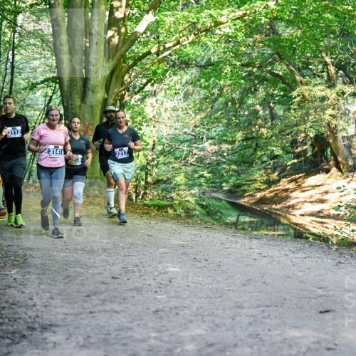 28.09.2025 - 33. Volkslauf durch das schöne Alstertal Dr. Thomas Lammeyer http://msf.ph/oto/8958333 28.09.2025 10:51:20 Laufen 3112, 3141, 3217 meine-sportfotos.de