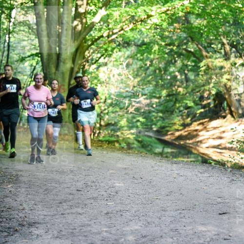 28.09.2025 - 33. Volkslauf durch das schöne Alstertal Dr. Thomas Lammeyer http://msf.ph/oto/8958334 28.09.2025 10:51:20 Laufen 12, 3141, 3218 meine-sportfotos.de