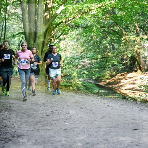 28.09.2025 - 33. Volkslauf durch das schöne Alstertal Dr. Thomas Lammeyer http://msf.ph/oto/8958335 28.09.2025 10:51:20 Laufen 3112, 3141, 3218, 3217 meine-sportfotos.de