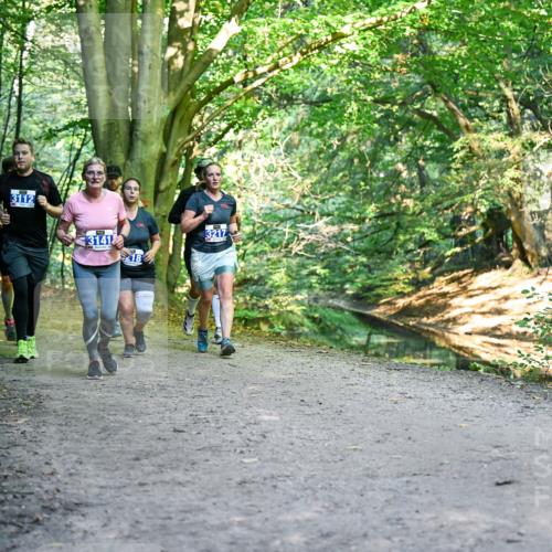 28.09.2025 - 33. Volkslauf durch das schöne Alstertal Dr. Thomas Lammeyer http://msf.ph/oto/8958336 28.09.2025 10:51:20 Laufen 3112, 3141, 218, 3217 meine-sportfotos.de