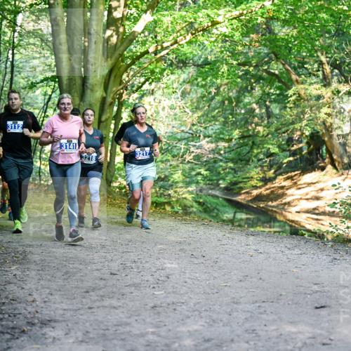 28.09.2025 - 33. Volkslauf durch das schöne Alstertal Dr. Thomas Lammeyer http://msf.ph/oto/8958338 28.09.2025 10:51:21 Laufen 3112, 3141, 3218, 3217 meine-sportfotos.de
