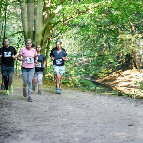 28.09.2025 - 33. Volkslauf durch das schöne Alstertal Dr. Thomas Lammeyer http://msf.ph/oto/8958339 28.09.2025 10:51:21 Laufen 3112, 3141, 3217 meine-sportfotos.de