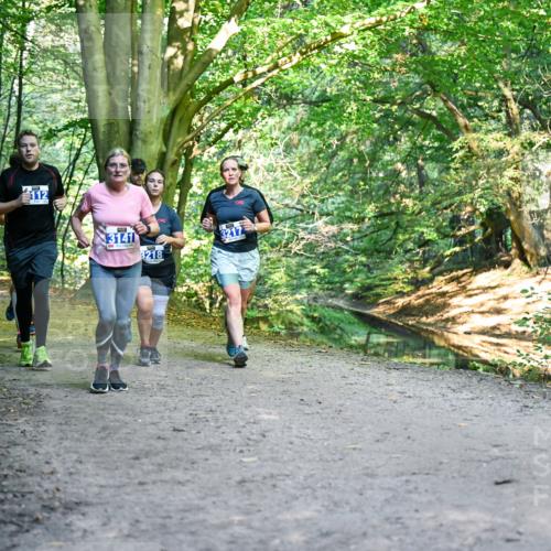 28.09.2025 - 33. Volkslauf durch das schöne Alstertal Dr. Thomas Lammeyer http://msf.ph/oto/8958340 28.09.2025 10:51:21 Laufen 112, 3141, 3218, 3217 meine-sportfotos.de