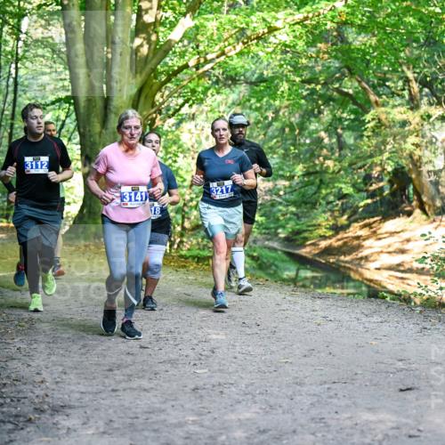 28.09.2025 - 33. Volkslauf durch das schöne Alstertal Dr. Thomas Lammeyer http://msf.ph/oto/8958343 28.09.2025 10:51:22 Laufen 3112, 3141, 18, 3217 meine-sportfotos.de