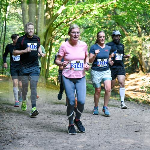 28.09.2025 - 33. Volkslauf durch das schöne Alstertal Dr. Thomas Lammeyer http://msf.ph/oto/8958353 28.09.2025 10:51:23 Laufen 3144, 3112, 43141, 3217, 3096 meine-sportfotos.de