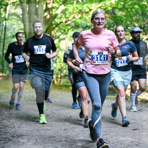 28.09.2025 - 33. Volkslauf durch das schöne Alstertal Dr. Thomas Lammeyer http://msf.ph/oto/8958356 28.09.2025 10:51:23 Laufen 374, 3112, 3141, 3217 meine-sportfotos.de