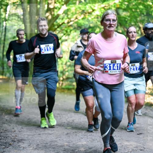 28.09.2025 - 33. Volkslauf durch das schöne Alstertal Dr. Thomas Lammeyer http://msf.ph/oto/8958357 28.09.2025 10:51:23 Laufen 37, 3112, 3141, 212, 3095 meine-sportfotos.de
