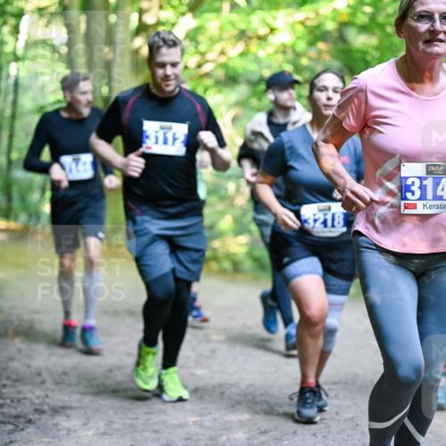 28.09.2025 - 33. Volkslauf durch das schöne Alstertal Dr. Thomas Lammeyer http://msf.ph/oto/8958361 28.09.2025 10:51:24 Laufen 14, 3112, 3218, 3141 meine-sportfotos.de