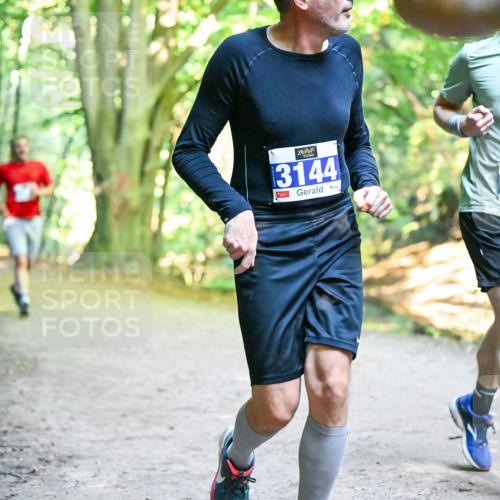 28.09.2025 - 33. Volkslauf durch das schöne Alstertal Dr. Thomas Lammeyer http://msf.ph/oto/8958373 28.09.2025 10:51:25 Laufen 3144, 13 meine-sportfotos.de