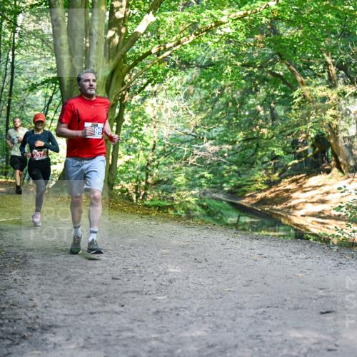 28.09.2025 - 33. Volkslauf durch das schöne Alstertal Dr. Thomas Lammeyer http://msf.ph/oto/8958381 28.09.2025 10:51:27 Laufen 3377, 257, 99 meine-sportfotos.de