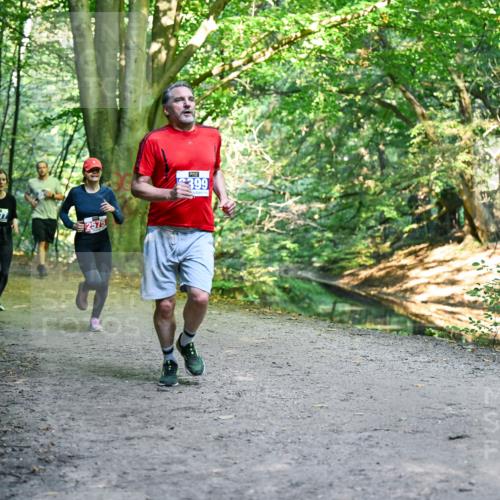 28.09.2025 - 33. Volkslauf durch das schöne Alstertal Dr. Thomas Lammeyer http://msf.ph/oto/8958387 28.09.2025 10:51:28 Laufen 3377, 2575, 399 meine-sportfotos.de