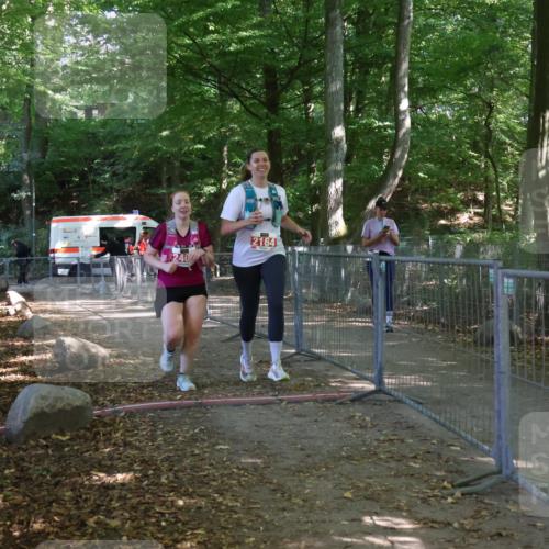 28.09.2025 - 33. Volkslauf durch das schöne Alstertal Strokosch-Dieckow http://msf.ph/oto/8958399 28.09.2025 13:17:25 Ziel 2164, 2409 meine-sportfotos.de