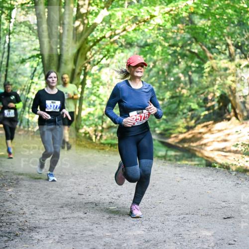28.09.2025 - 33. Volkslauf durch das schöne Alstertal Dr. Thomas Lammeyer http://msf.ph/oto/8958404 28.09.2025 10:51:30 Laufen 3377, 2575 meine-sportfotos.de