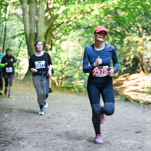 28.09.2025 - 33. Volkslauf durch das schöne Alstertal Dr. Thomas Lammeyer http://msf.ph/oto/8958408 28.09.2025 10:51:31 Laufen 3377, 2575 meine-sportfotos.de