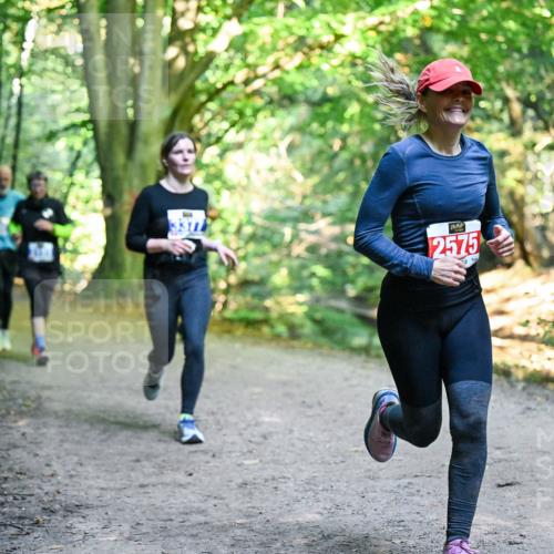 28.09.2025 - 33. Volkslauf durch das schöne Alstertal Dr. Thomas Lammeyer http://msf.ph/oto/8958410 28.09.2025 10:51:31 Laufen 2575 meine-sportfotos.de