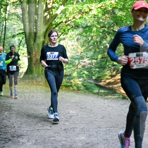 28.09.2025 - 33. Volkslauf durch das schöne Alstertal Dr. Thomas Lammeyer http://msf.ph/oto/8958411 28.09.2025 10:51:31 Laufen 3086, 3193, 3377, 2575 meine-sportfotos.de