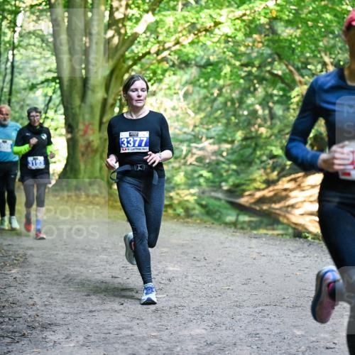 28.09.2025 - 33. Volkslauf durch das schöne Alstertal Dr. Thomas Lammeyer http://msf.ph/oto/8958412 28.09.2025 10:51:31 Laufen 3377, 5 meine-sportfotos.de
