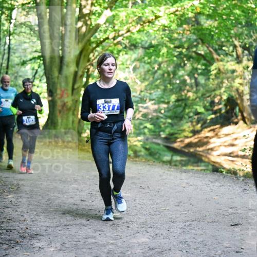 28.09.2025 - 33. Volkslauf durch das schöne Alstertal Dr. Thomas Lammeyer http://msf.ph/oto/8958413 28.09.2025 10:51:31 Laufen 3377, 2575 meine-sportfotos.de