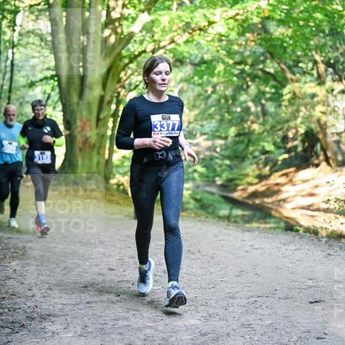 28.09.2025 - 33. Volkslauf durch das schöne Alstertal Dr. Thomas Lammeyer http://msf.ph/oto/8958414 28.09.2025 10:51:31 Laufen 3193, 3377 meine-sportfotos.de