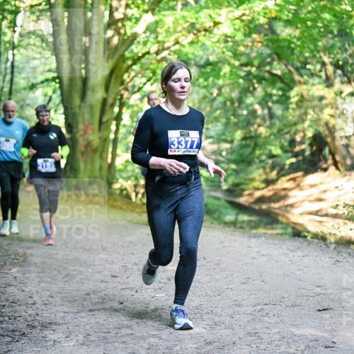 28.09.2025 - 33. Volkslauf durch das schöne Alstertal Dr. Thomas Lammeyer http://msf.ph/oto/8958416 28.09.2025 10:51:32 Laufen 3377 meine-sportfotos.de