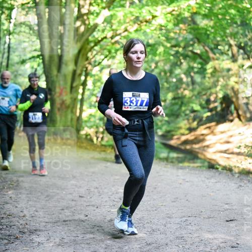 28.09.2025 - 33. Volkslauf durch das schöne Alstertal Dr. Thomas Lammeyer http://msf.ph/oto/8958417 28.09.2025 10:51:32 Laufen 3377 meine-sportfotos.de