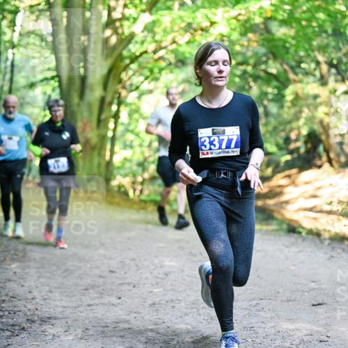 28.09.2025 - 33. Volkslauf durch das schöne Alstertal Dr. Thomas Lammeyer http://msf.ph/oto/8958419 28.09.2025 10:51:32 Laufen 3377 meine-sportfotos.de