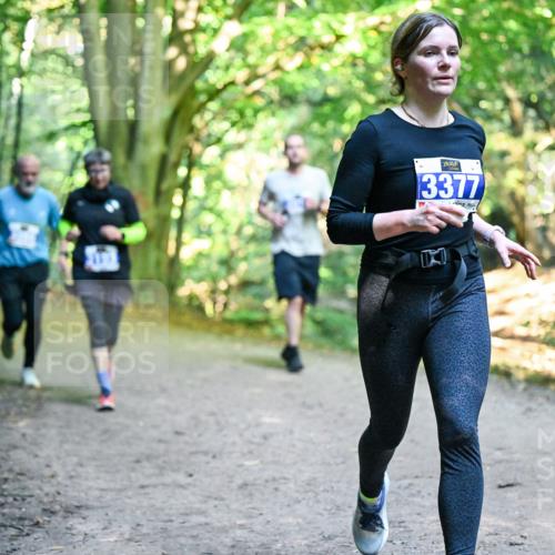 28.09.2025 - 33. Volkslauf durch das schöne Alstertal Dr. Thomas Lammeyer http://msf.ph/oto/8958421 28.09.2025 10:51:32 Laufen 3377 meine-sportfotos.de