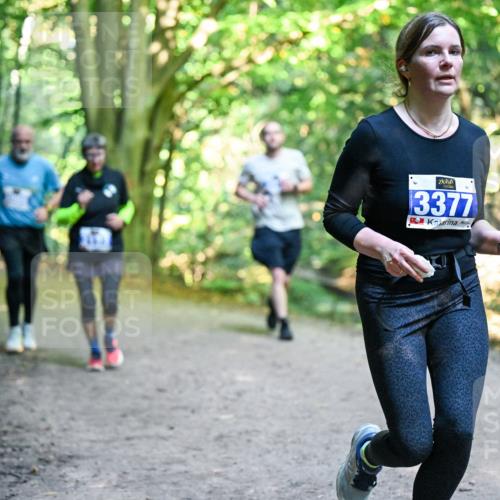 28.09.2025 - 33. Volkslauf durch das schöne Alstertal Dr. Thomas Lammeyer http://msf.ph/oto/8958423 28.09.2025 10:51:32 Laufen 3377 meine-sportfotos.de