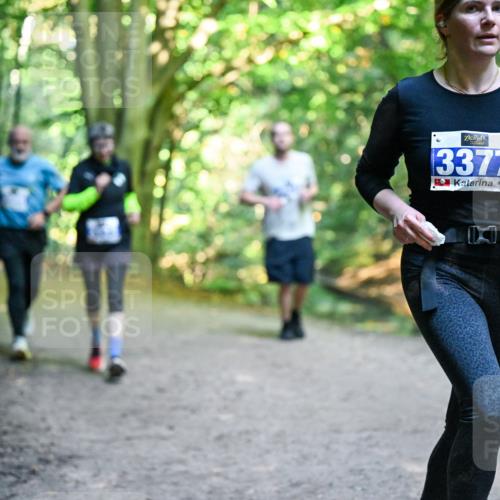 28.09.2025 - 33. Volkslauf durch das schöne Alstertal Dr. Thomas Lammeyer http://msf.ph/oto/8958424 28.09.2025 10:51:33 Laufen 3377 meine-sportfotos.de