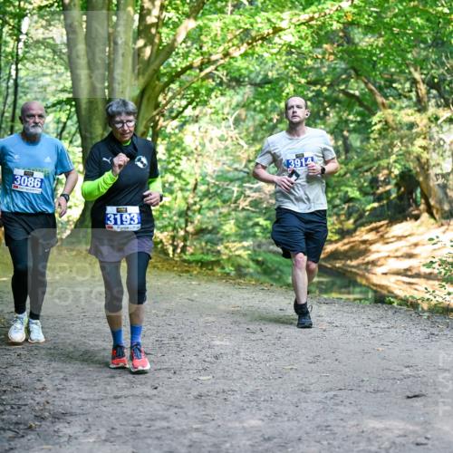 28.09.2025 - 33. Volkslauf durch das schöne Alstertal Dr. Thomas Lammeyer http://msf.ph/oto/8958426 28.09.2025 10:51:33 Laufen 3086, 3193, 3914 meine-sportfotos.de