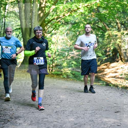 28.09.2025 - 33. Volkslauf durch das schöne Alstertal Dr. Thomas Lammeyer http://msf.ph/oto/8958427 28.09.2025 10:51:33 Laufen 3086, 3193, 3914 meine-sportfotos.de