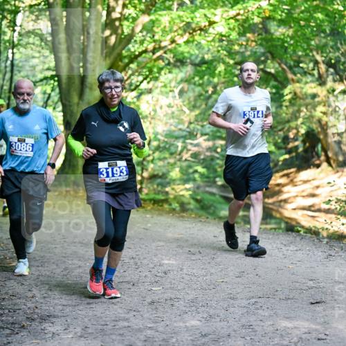 28.09.2025 - 33. Volkslauf durch das schöne Alstertal Dr. Thomas Lammeyer http://msf.ph/oto/8958428 28.09.2025 10:51:33 Laufen 3086, 3193, 3914 meine-sportfotos.de