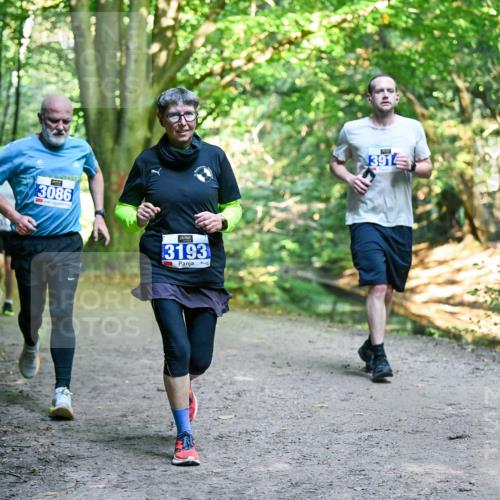 28.09.2025 - 33. Volkslauf durch das schöne Alstertal Dr. Thomas Lammeyer http://msf.ph/oto/8958430 28.09.2025 10:51:34 Laufen 3086, 3193, 391 meine-sportfotos.de