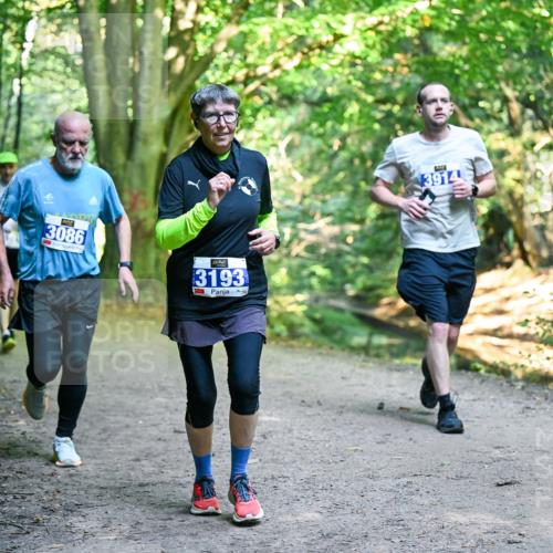 28.09.2025 - 33. Volkslauf durch das schöne Alstertal Dr. Thomas Lammeyer http://msf.ph/oto/8958431 28.09.2025 10:51:34 Laufen 3086, 3193, 3914 meine-sportfotos.de