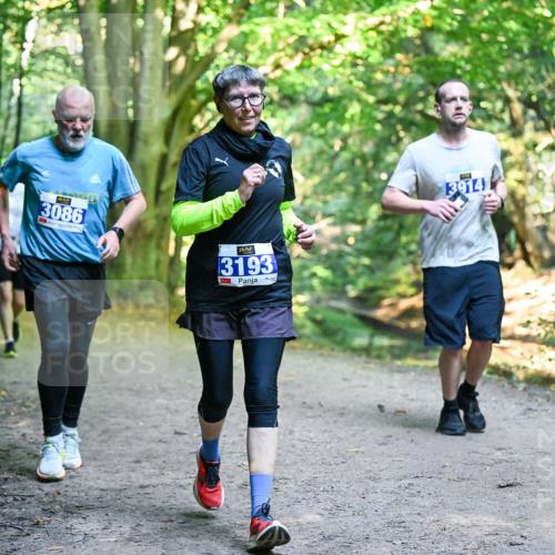 28.09.2025 - 33. Volkslauf durch das schöne Alstertal Dr. Thomas Lammeyer http://msf.ph/oto/8958433 28.09.2025 10:51:34 Laufen 3086, 3193, 39141 meine-sportfotos.de