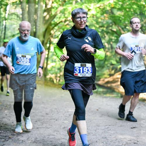 28.09.2025 - 33. Volkslauf durch das schöne Alstertal Dr. Thomas Lammeyer http://msf.ph/oto/8958434 28.09.2025 10:51:34 Laufen 3086, 3193, 3914 meine-sportfotos.de