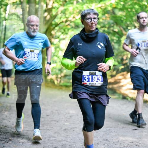 28.09.2025 - 33. Volkslauf durch das schöne Alstertal Dr. Thomas Lammeyer http://msf.ph/oto/8958435 28.09.2025 10:51:34 Laufen 3086, 3193 meine-sportfotos.de