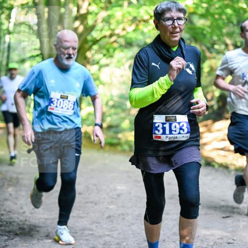 28.09.2025 - 33. Volkslauf durch das schöne Alstertal Dr. Thomas Lammeyer http://msf.ph/oto/8958436 28.09.2025 10:51:35 Laufen 3086, 3193 meine-sportfotos.de