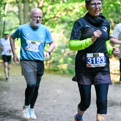 28.09.2025 - 33. Volkslauf durch das schöne Alstertal Dr. Thomas Lammeyer http://msf.ph/oto/8958437 28.09.2025 10:51:35 Laufen 3086, 3193, 13914 meine-sportfotos.de