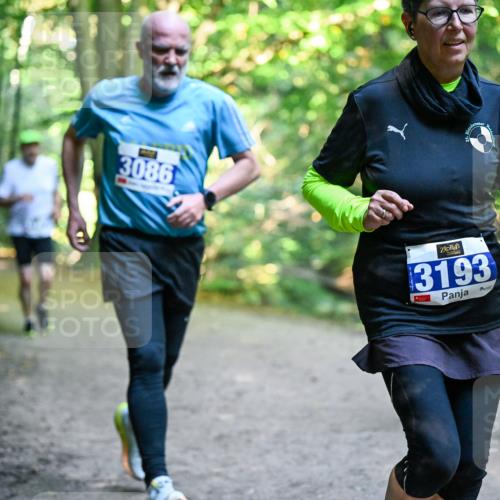 28.09.2025 - 33. Volkslauf durch das schöne Alstertal Dr. Thomas Lammeyer http://msf.ph/oto/8958438 28.09.2025 10:51:35 Laufen 3086, 3193, 3914 meine-sportfotos.de