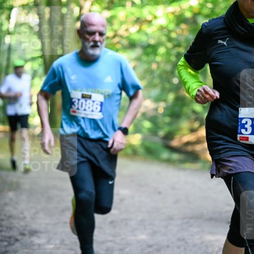 28.09.2025 - 33. Volkslauf durch das schöne Alstertal Dr. Thomas Lammeyer http://msf.ph/oto/8958439 28.09.2025 10:51:35 Laufen 3086, 3193 meine-sportfotos.de