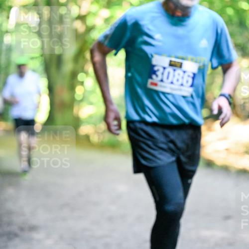 28.09.2025 - 33. Volkslauf durch das schöne Alstertal Dr. Thomas Lammeyer http://msf.ph/oto/8958444 28.09.2025 10:51:36 Laufen 3086 meine-sportfotos.de