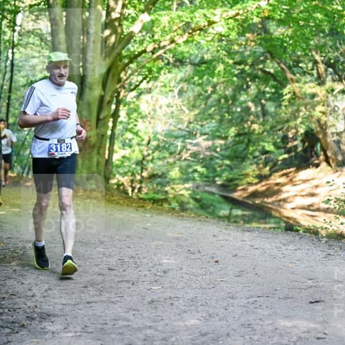 28.09.2025 - 33. Volkslauf durch das schöne Alstertal Dr. Thomas Lammeyer http://msf.ph/oto/8958446 28.09.2025 10:51:37 Laufen 3182 meine-sportfotos.de