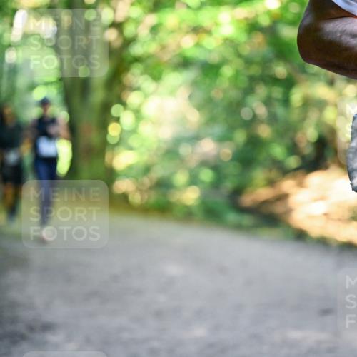 28.09.2025 - 33. Volkslauf durch das schöne Alstertal Dr. Thomas Lammeyer http://msf.ph/oto/8958467 28.09.2025 10:51:39 Laufen  meine-sportfotos.de