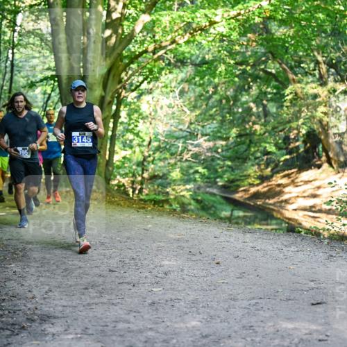 28.09.2025 - 33. Volkslauf durch das schöne Alstertal Dr. Thomas Lammeyer http://msf.ph/oto/8958468 28.09.2025 10:51:40 Laufen 3145, 5 meine-sportfotos.de