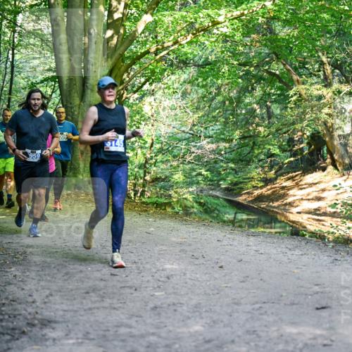 28.09.2025 - 33. Volkslauf durch das schöne Alstertal Dr. Thomas Lammeyer http://msf.ph/oto/8958472 28.09.2025 10:51:40 Laufen 3008, 959, 5145 meine-sportfotos.de